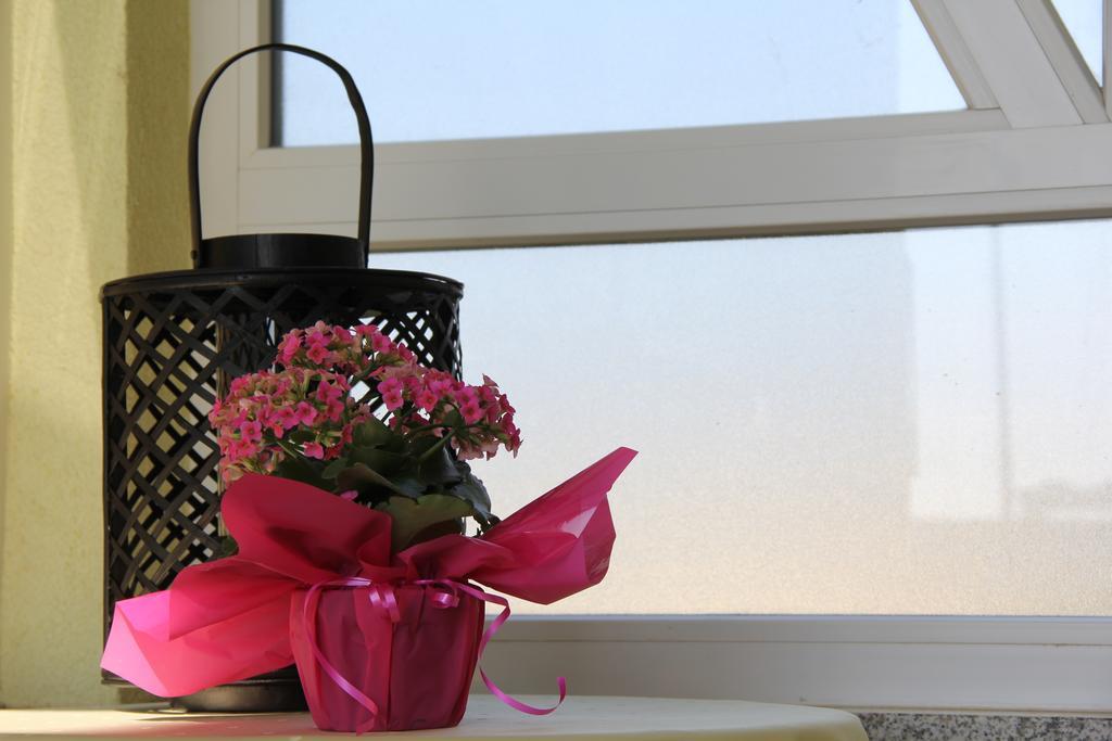 Apartments Villa Lili Umag Zewnętrze zdjęcie